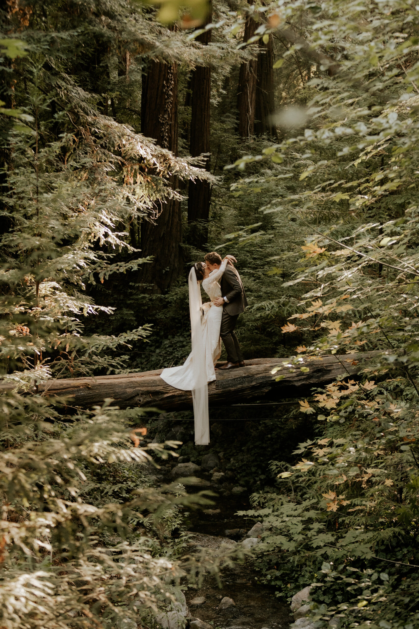 Redwoods Wedding Photographer